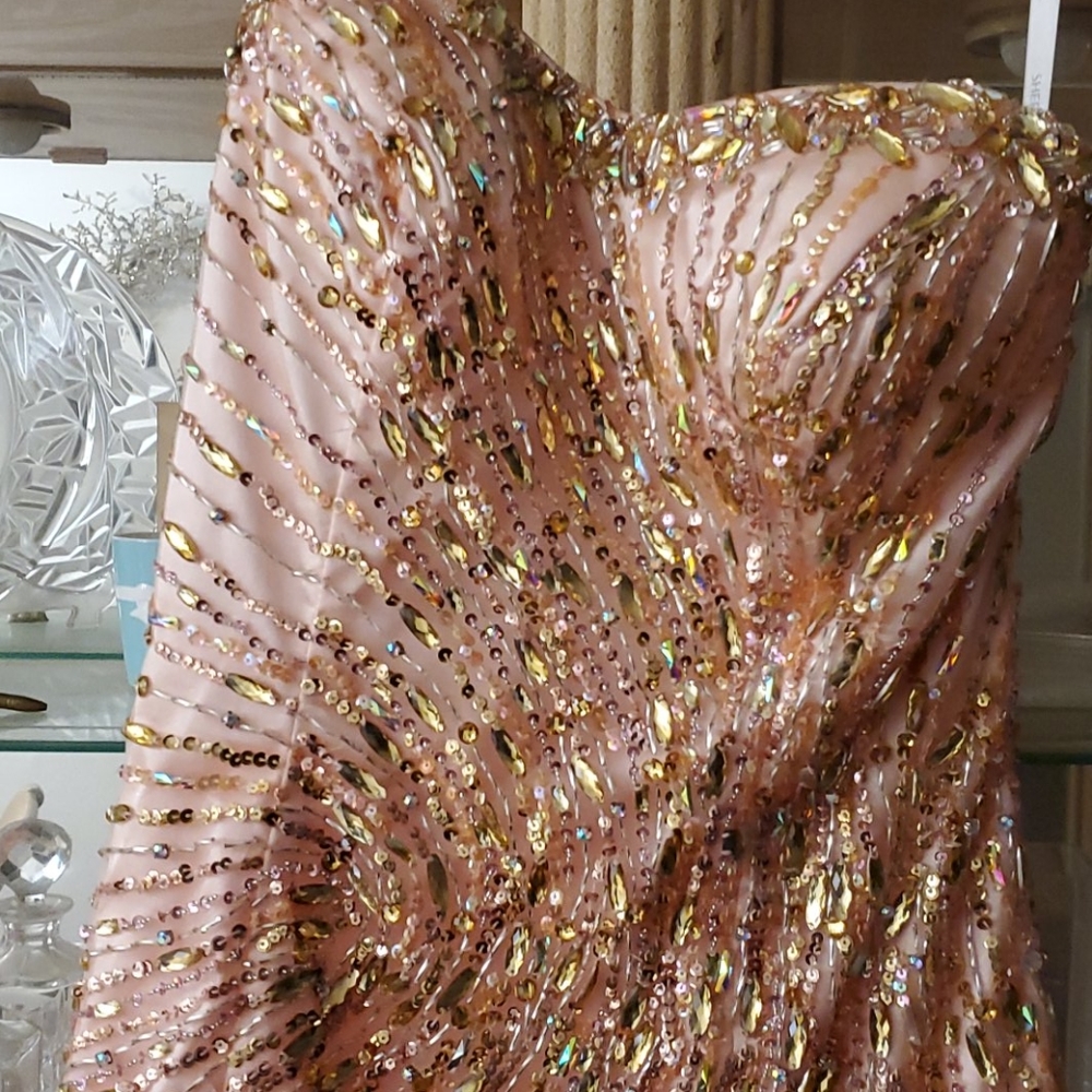 Prom sale Sherri Hill Sz 10 Gorgeous Prom Dress+ shoes/ earr